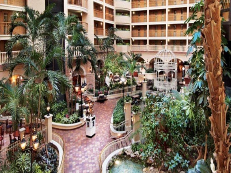 Embassy Suites By Hilton Orlando International Drive Convention Center Buitenkant foto